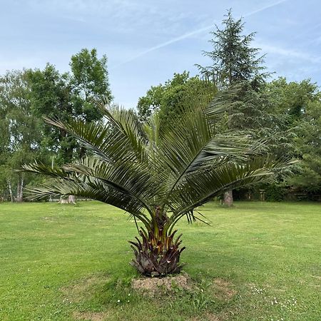 Appartement Familial Au Bord De La Marne, Jardin 8000M2, Piscine, Court De Tennis, Terrasse, Parking Gratuit Proche Disneyland Isles-les-Villenoy ภายนอก รูปภาพ